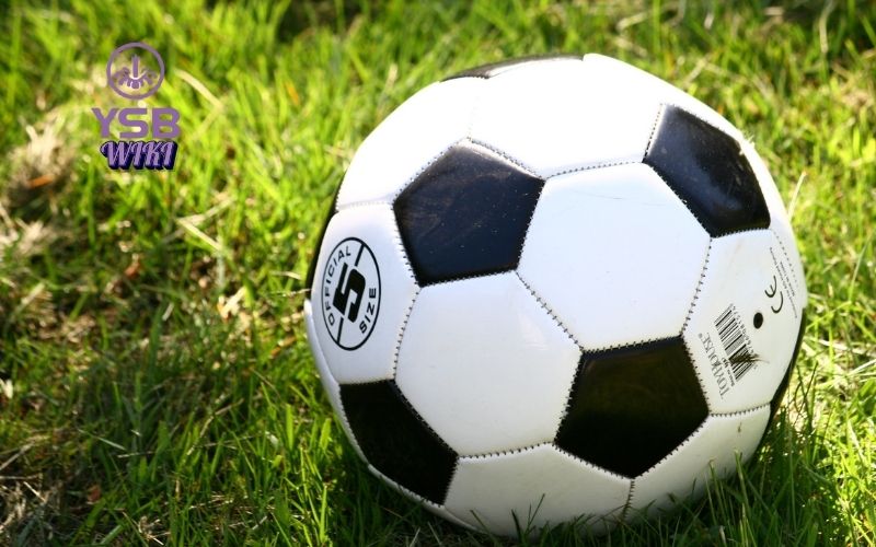 Cá cược thể thao online