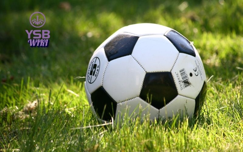 Cá cược thể thao online