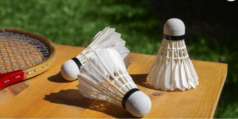 Cá Cược Cầu Lông tại YSB66 – Đặt cược chuẩn, nhận thưởng nhanh 3 cá cược cầu lông